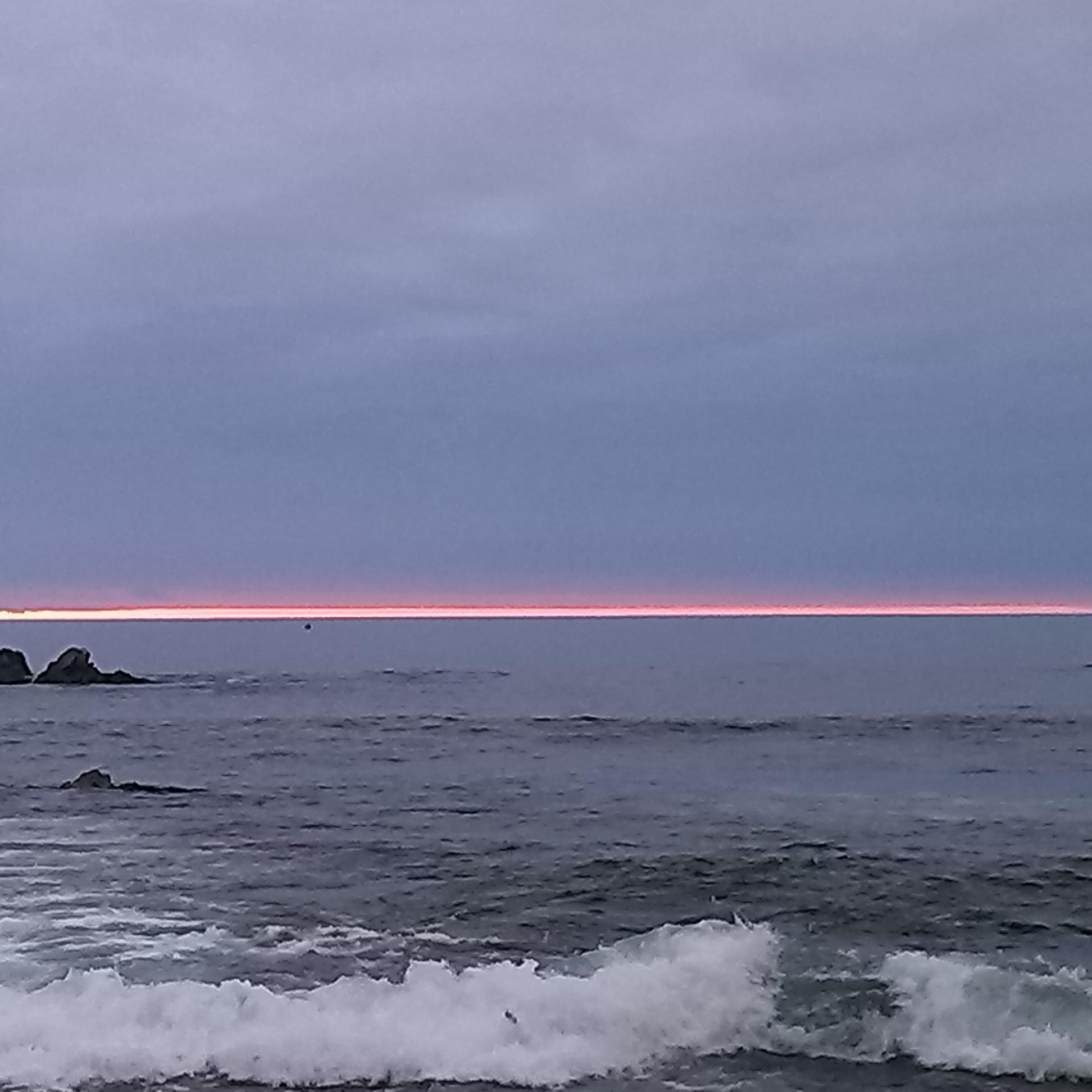 lmanriquecofu's profile picture. 