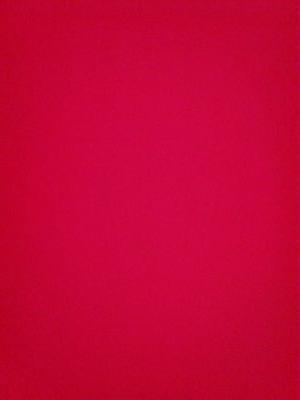 SeguraEugenia's profile picture. 