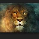 evaristo rincon - @EvaRincon78 - Twitter