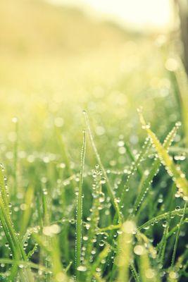 d2e6b109dcd34a1's profile picture. 