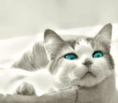 H_unlocked's profile picture. 커뮤계 @H_commu0