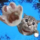 Zoe_Han - @ZoeHan6 - Twitter