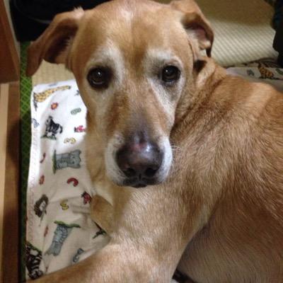 Hirahiraminto's profile picture. Twitter初心者です日頃思うことつぶやいて行きます。#相互フォロー100%でござる