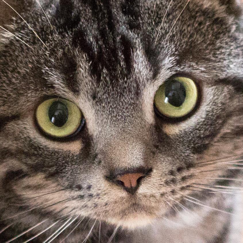 AppHackNet's profile picture. ウェブサイト開発・アプリ開発・オーディオ関連・旅行等に関する情報を発信していきます！お時間ございましたらぜひウェブサイトにもお立ち寄りください！http://t.co/sHUwvJrzba