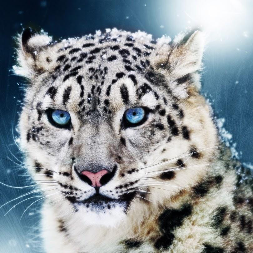 Rine13's profile picture. j'optimisme pour cette année.