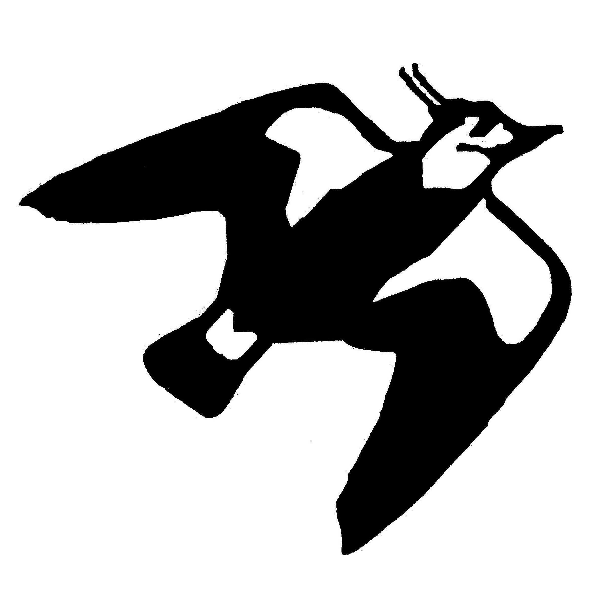 Kievitamines's profile picture. gespecialiseerd groente- en fruitbedrijf dat zich volledig heeft toegelegd op verse biologische producten