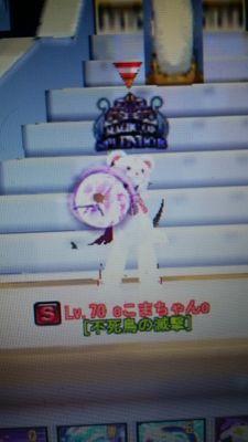 komagurumiprpr's profile picture. 