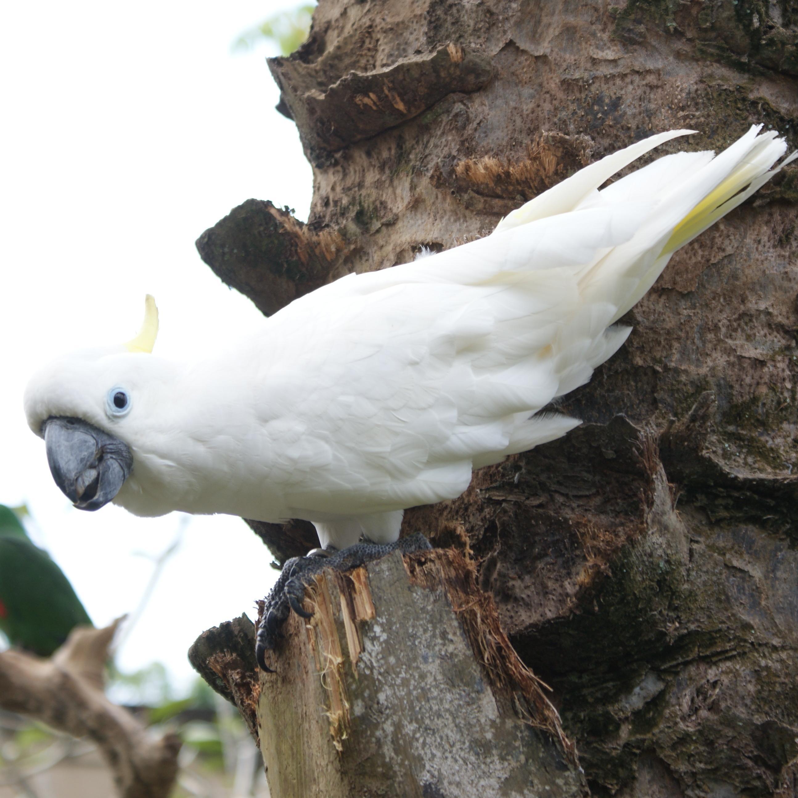 LeeGSky's profile picture. 