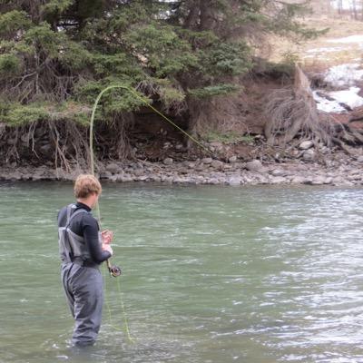 simmsbearcat's profile picture. 