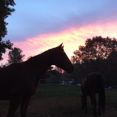 MichaelCrain7's profile picture. lots of phot fun photography. weddings and special events and family portraits senior portraits are any special events you were looking to have photographed.