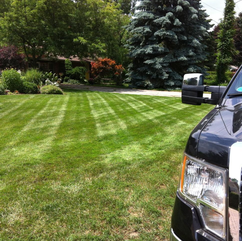 Landscape1402's profile picture. Landscaper