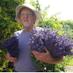 English Lavender (@englishlavanda) Twitter profile photo