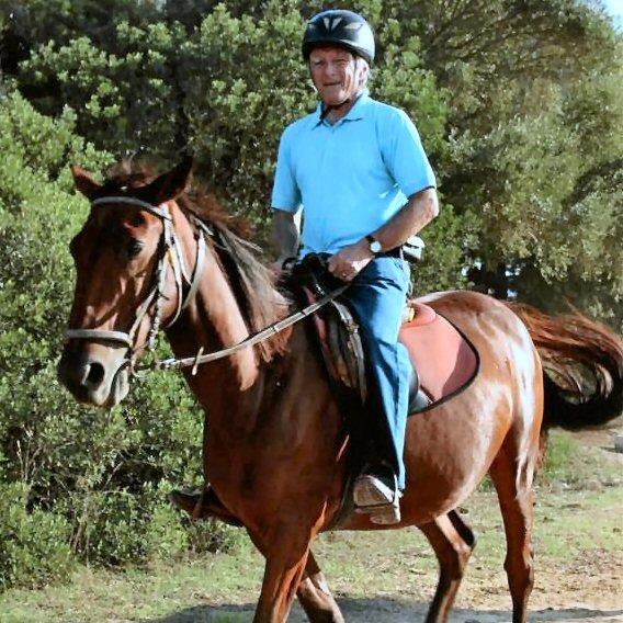 gustushoneybun's profile picture. 