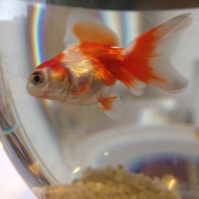 MauricePoisky's profile picture. Working at Marketing @ABgroupe #ABTeam