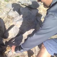 nihner (@nihner) 's Twitter Profile