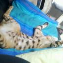 Aiden Warren - @Aiden_Warren - Twitter