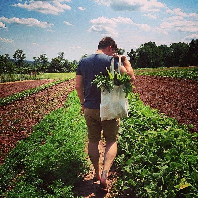 _jamesob's profile picture. 