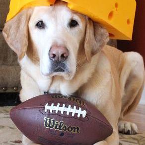 1reasoninsuranc's profile picture. Car, Home, Long-Term Care, Commercial, Life Insurance and annuities