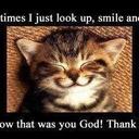 Sandy Engel - @sandeeng - Twitter