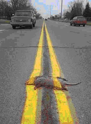 terminalsociety's profile picture. 