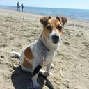 fabio paoletti - @faber62rm - Twitter