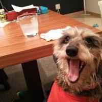 mtk (@m703) 's Twitter Profile Photo