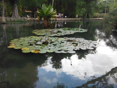 En primer orden los valores... Amante de los animales y las plantas