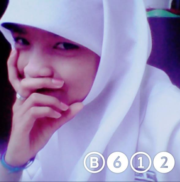 18 Juni 1999:$ SingleWolees:*             PIN : 52534AA9
