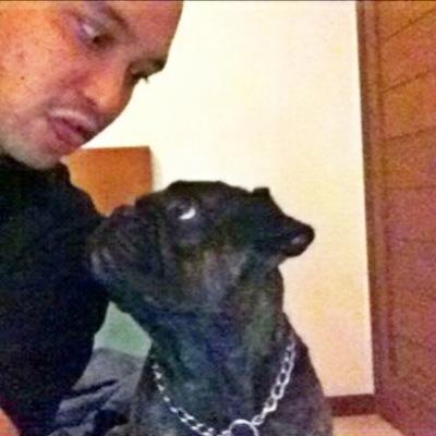 Pekerja Seni Komersial & Pahlawan Tanpa Tanda Terima | French Bulldog!