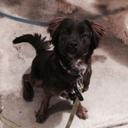 Mike Trusty - @TrustyMike - Twitter