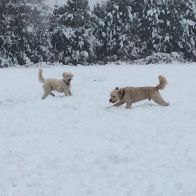 sallydabs's profile picture. 