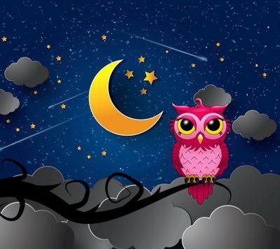 22bcc3e28e49467's profile picture. 