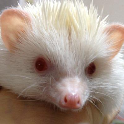 肌に関する悩みを持っている人は、かなり多いですよね。実際に効果のある方法をまとめてみました。参考にしてみてください。