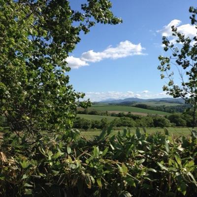 できれば毎日お休みだと嬉しいです。
二次元と妄想のなかで生きています。