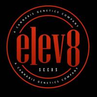 Elev8 Seeds (@elev8seeds) 's Twitter Profile
