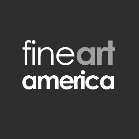 Fine Art America Profile