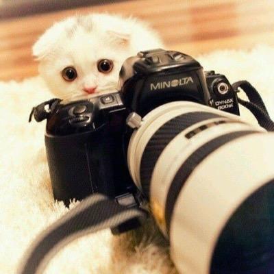 Ahmed97Zakaria's profile picture. 