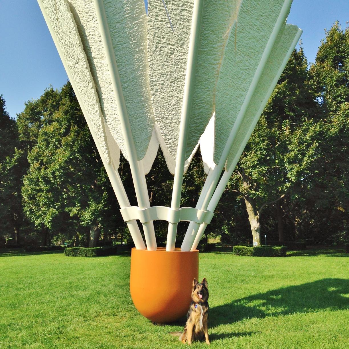 dogsofkc's profile picture. Official Twitter account for Dogs of Kansas City! Inspired by Humans of New York.