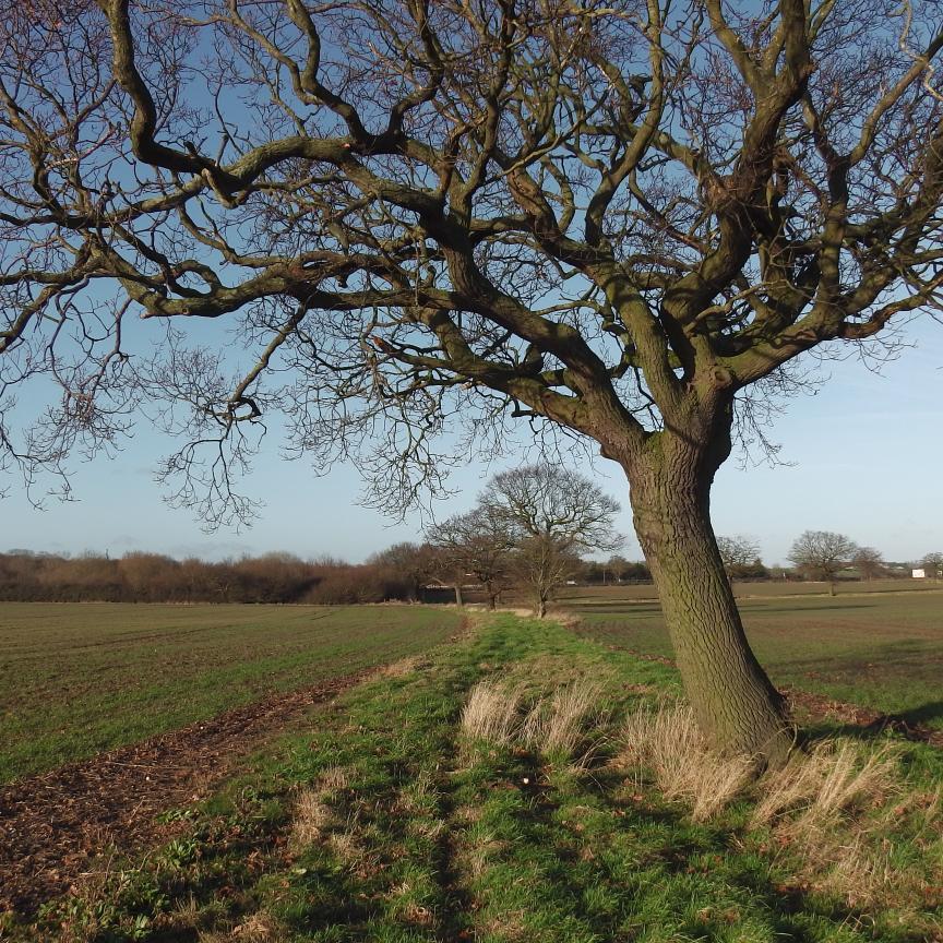 Campaigning against massive over-development of the countryside across South Essex and beyond. Follows and retweets are not endorsements.