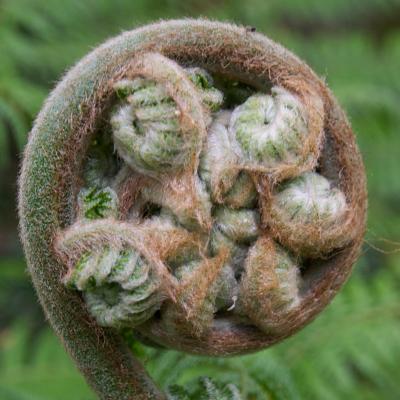 impulse2evolve's profile picture. Committed to serving the emerging paradigm, the evolution of society, humanity and Self.