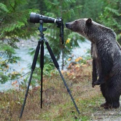 Bear with me, Wifi is hard to come by