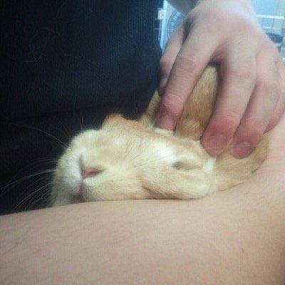 ♡♡\よこやまゆうく〜ん！/♡♡
