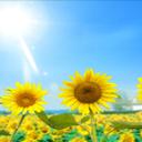 علووش (@022334466) Twitter