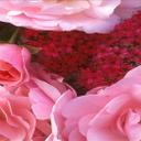 باسم (@0124545450) Twitter
