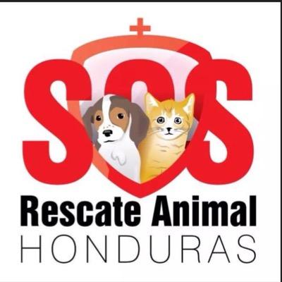 -Facebook: SOS Rescate Animal Honduras -
-Instagram: sosrescateanimalhn