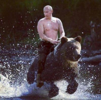 tradingmab's profile picture. Información en tiempo Real Sobre el Mercado Alternativo Bursatil.