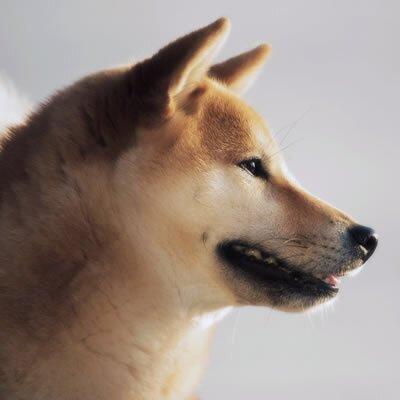 ユノペンです。チャンミン大好きです。ふたりがすきです。思ったことを呟いています。ふたりだけを応援していきます。このスタンスは変わることはなく呼吸する限り続きます。溺愛だけど盲目ではありません