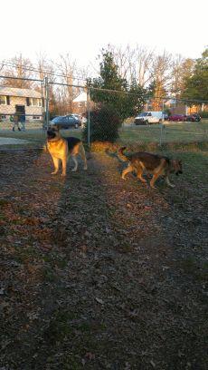 sherri_will's profile picture. 