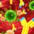 ImmunologyNews_'s profile image