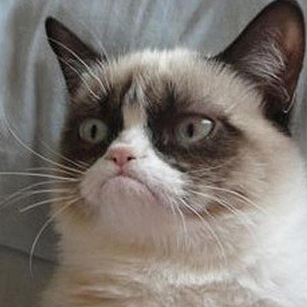 I follow back 100%. Unfollow me and I will unfollow you. #TeamFollowBack #FollowBack #Follow4Follow #follow #followme